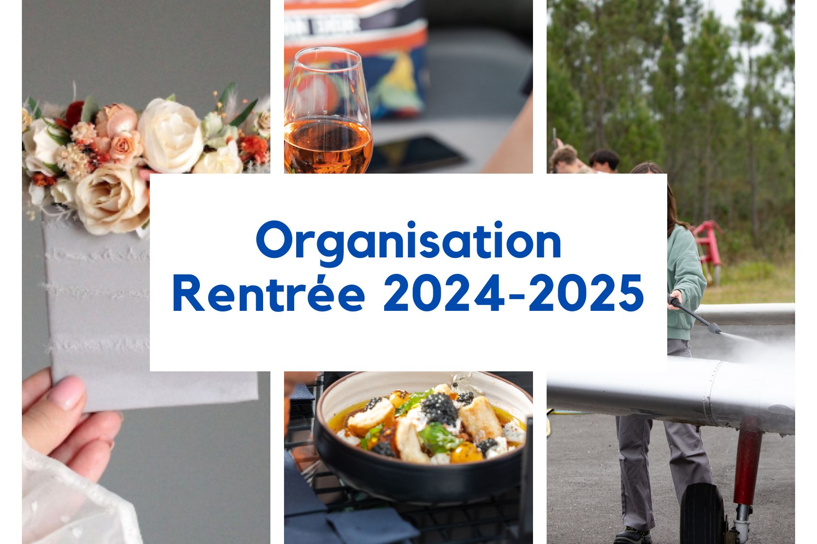 Organisation Rentrée 2024-2025